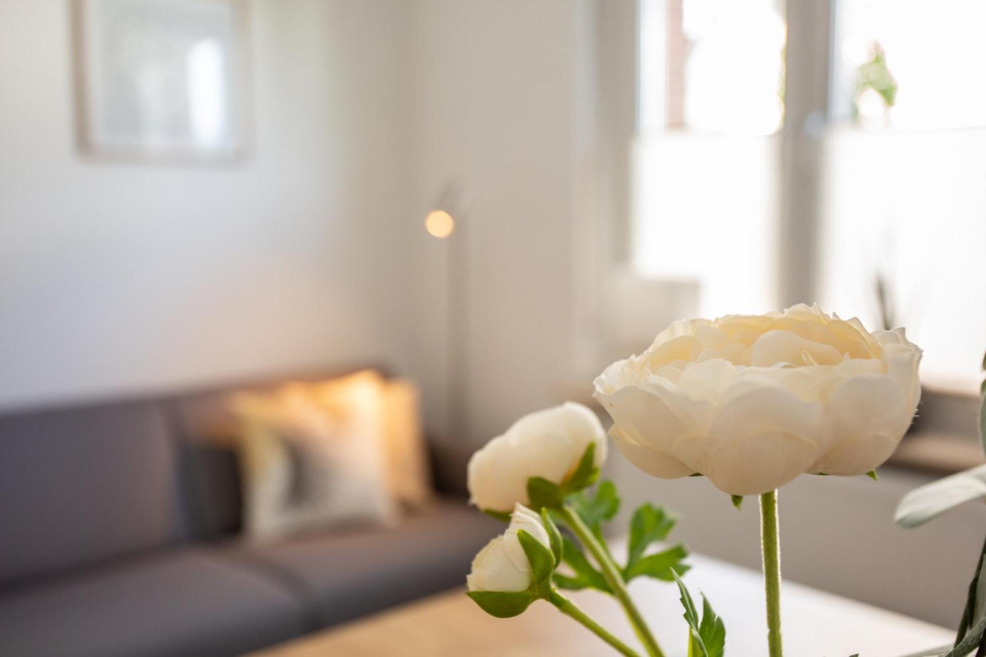 Apartmán Boardinghouse44 Georgsmarienhütte Exteriér fotografie